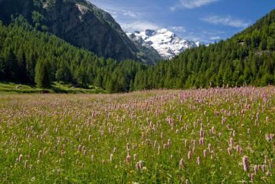 Parco Nazionale Gran Paradiso