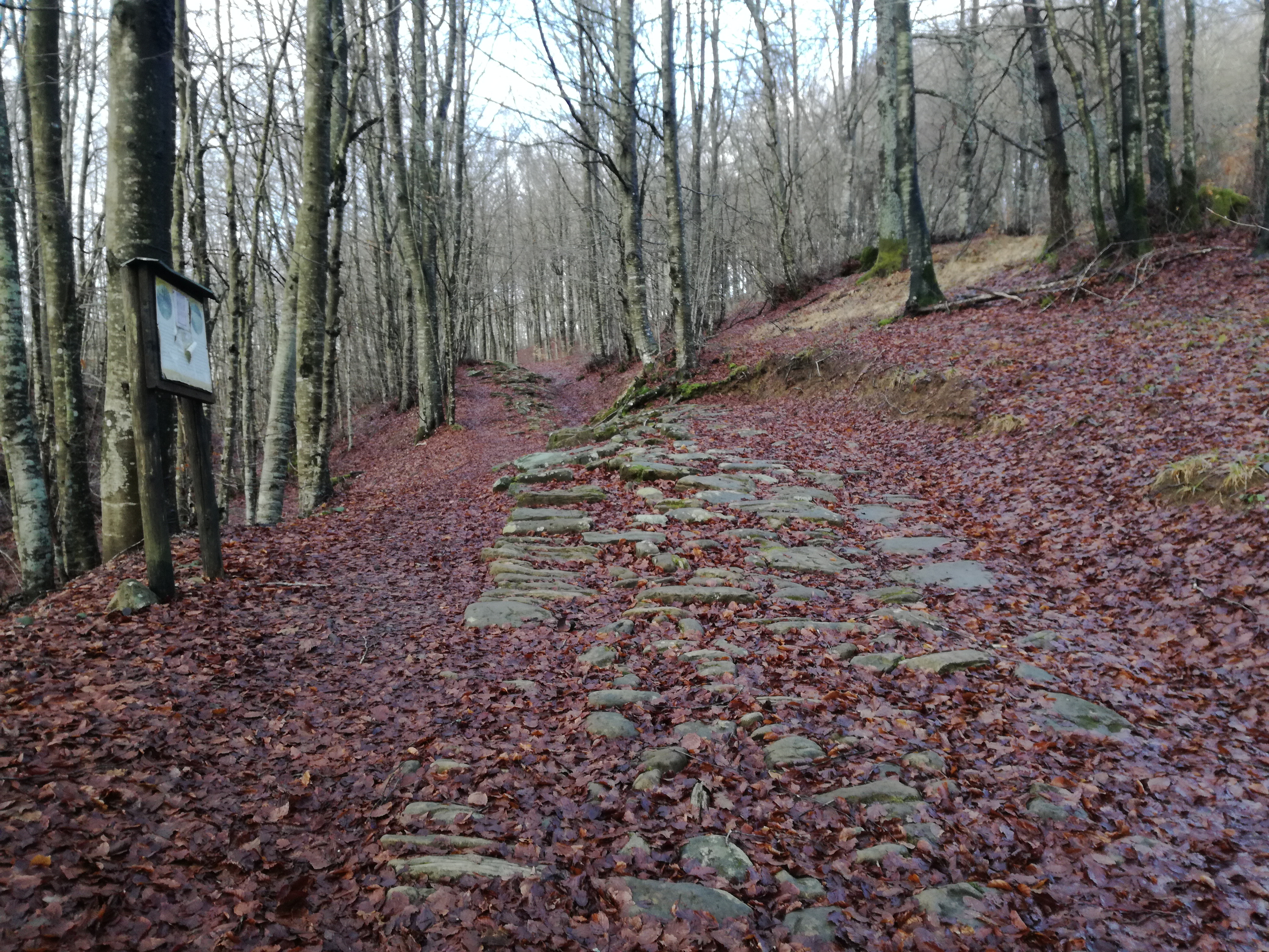 La Via degli Dei - Sloways