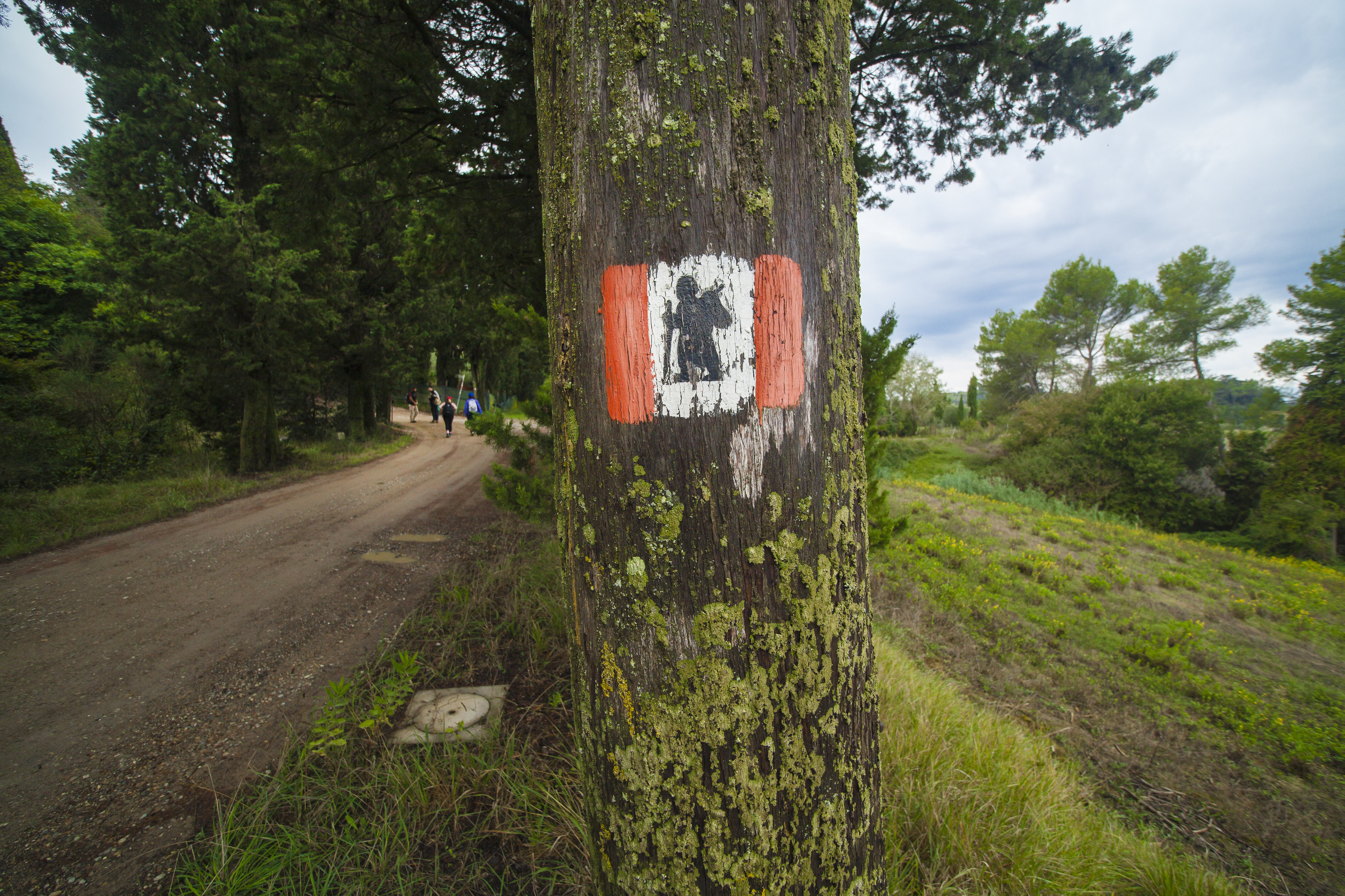 Segnavia su albero