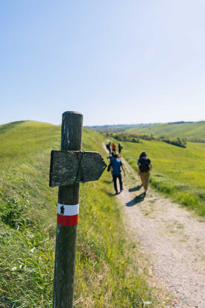 La Toscana a piedi: vacanze tra cibo, vino e cultura