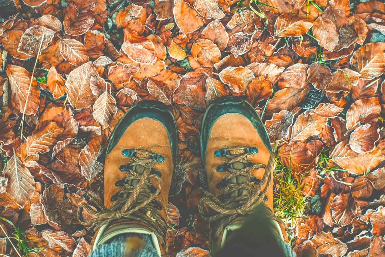 Oda al Otoño: viajes y sabores de una estación especial