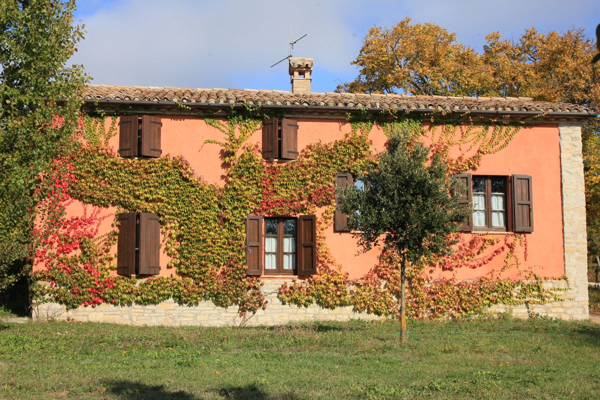 Hotel La Cerqua Pietralunga