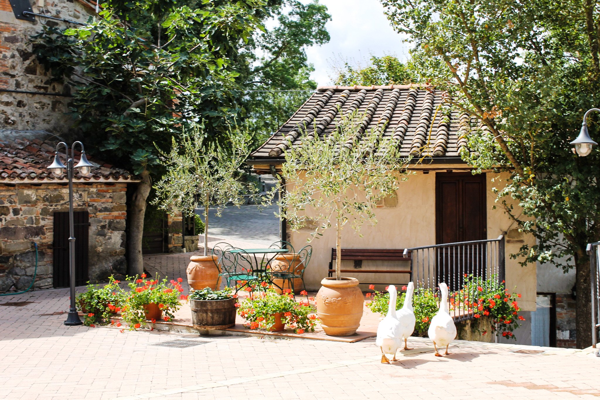 Agriturismo La Selvella Radicofani 