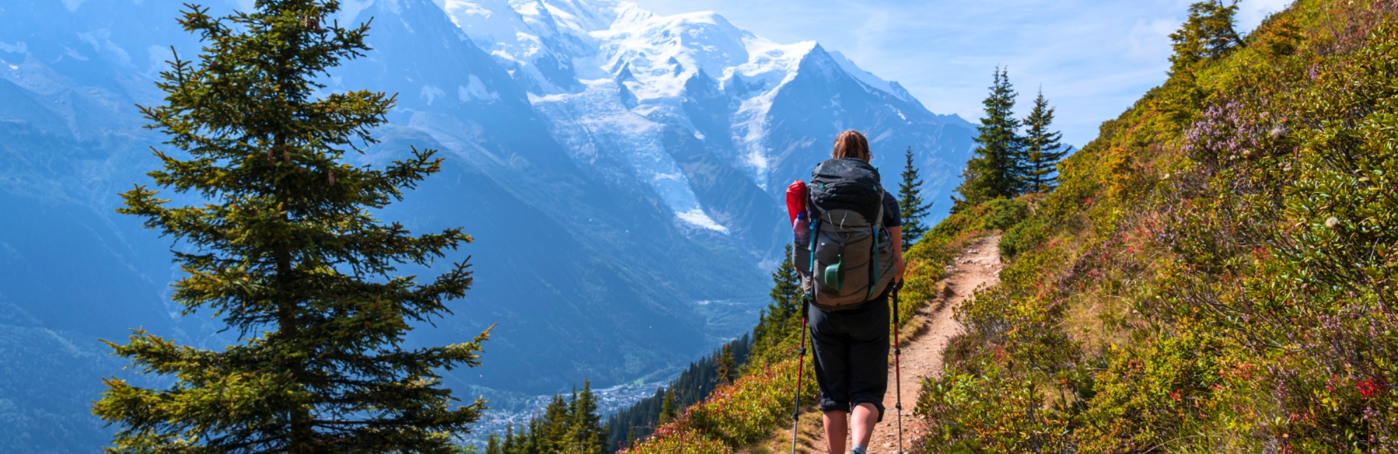 panoramic view of mont blanc