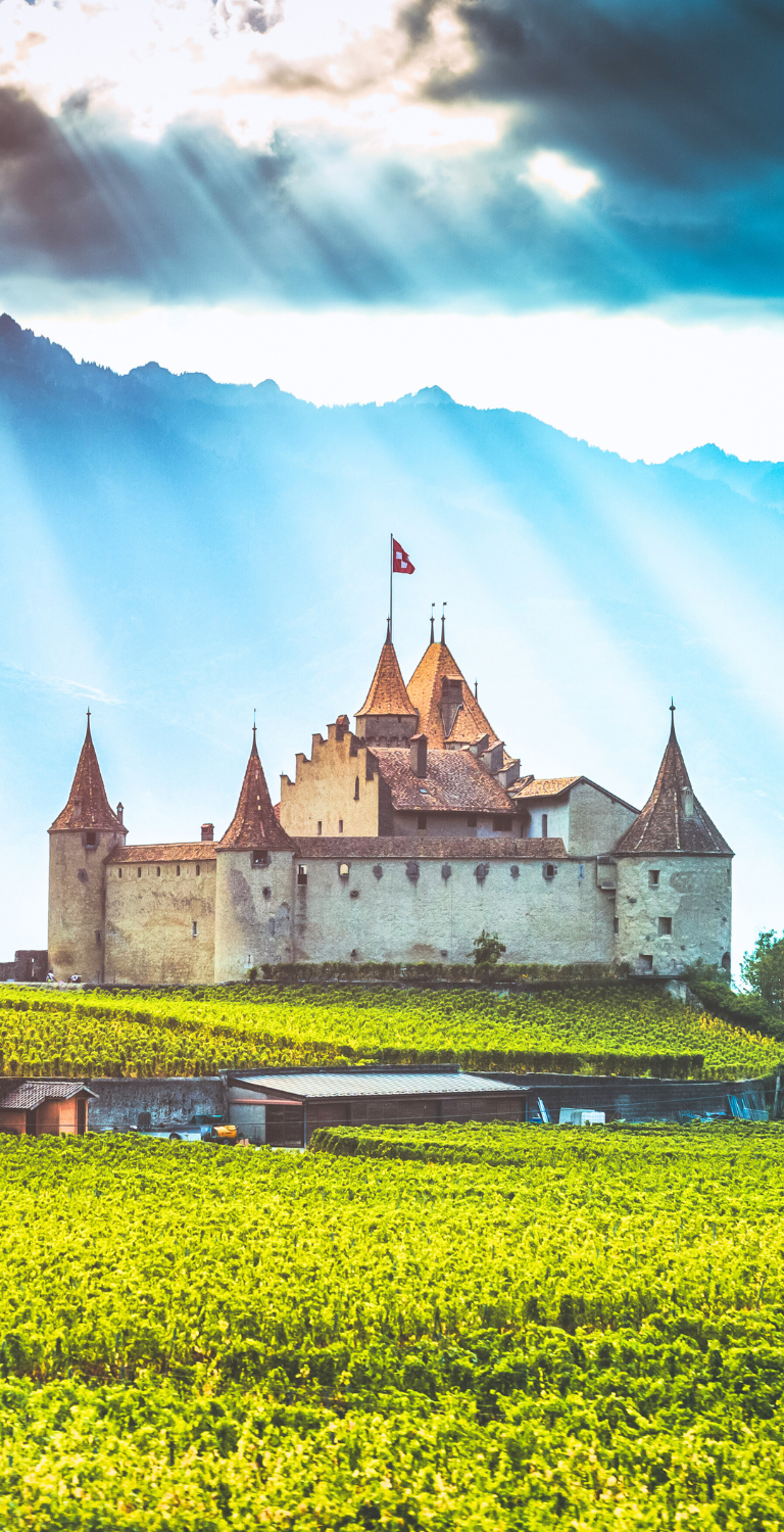Castello di Aigle