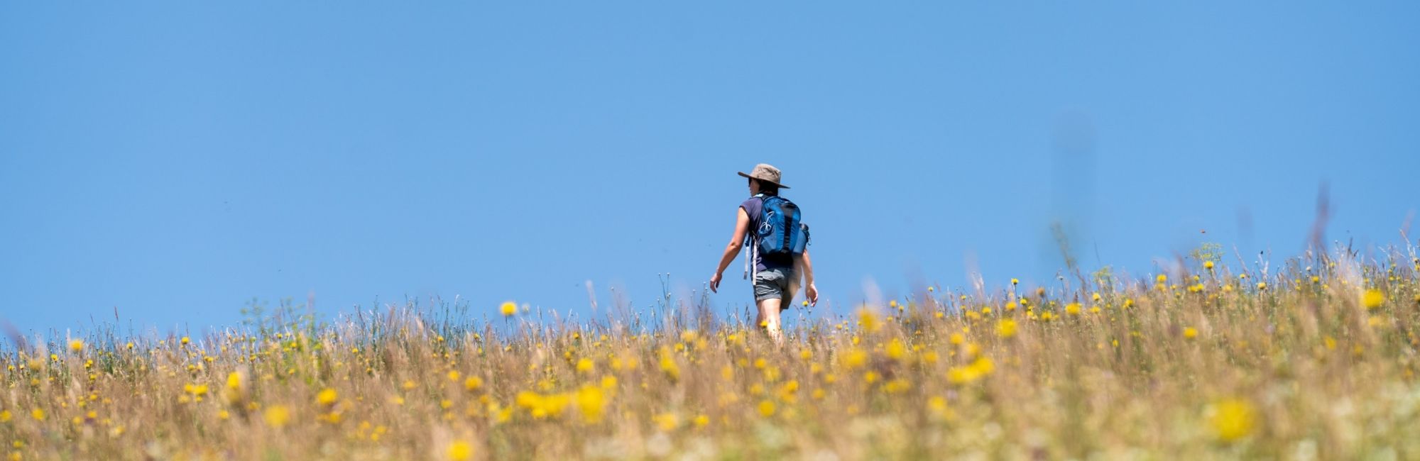 Come interpretare i livelli di difficoltà di una vacanza a piedi prima di prenotare