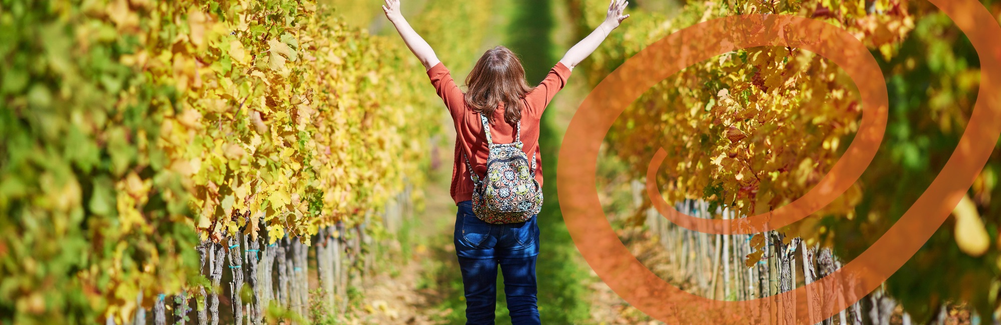 Nel cuore del raccolto toscano: uva, olive e il ritmo della vita rurale